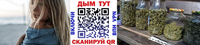 Конопля ГИДРОПОН Александровское